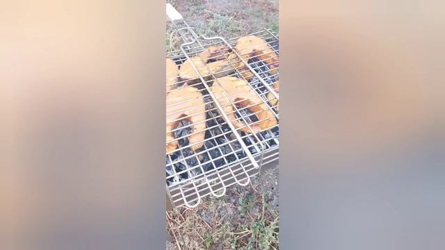 Еда на костре самая вкусная.