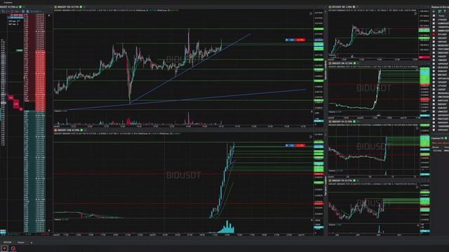 17-Bidusdt-Long-Stoploss-09-06-2025-14-10-01