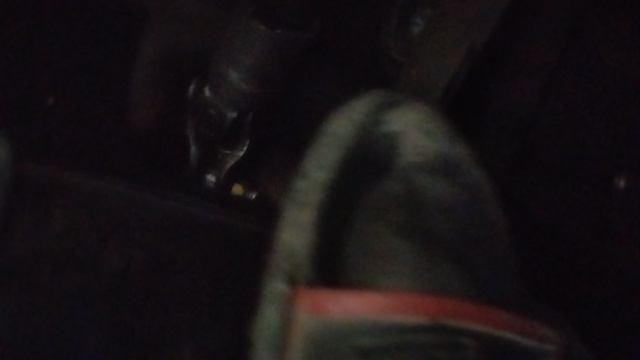 VID_20250614_154457