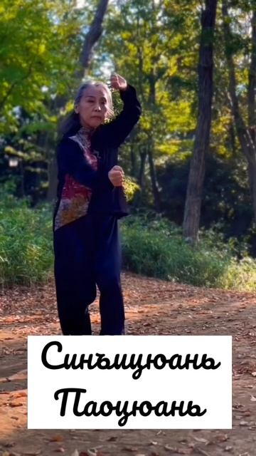 Лабиринт кунг-фу Кунг-фу Мэйкю