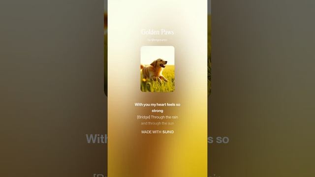 Golden Paws