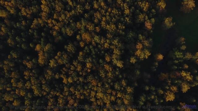 Когда музыка становится вашим попутчиком! - Wasted -- SUPERARE -- II