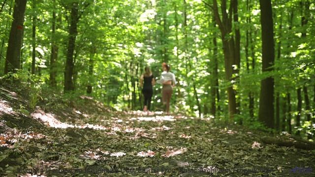 Пейзажи качают сознание под этот ритм - What We Want -- Johannes Weber -- Unnamed album