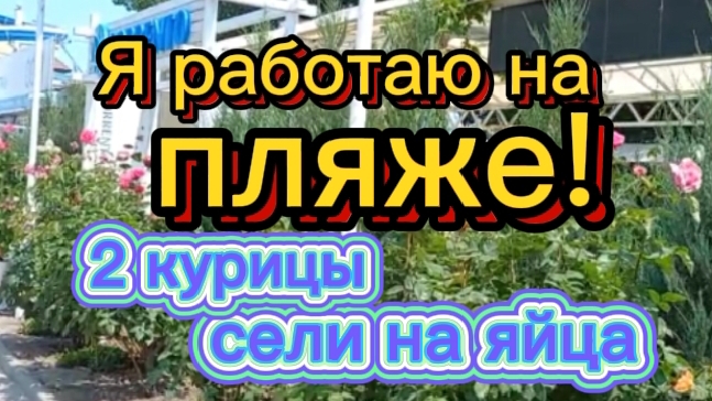 Кто успел , тот и съел!  Медведки сбежали.
