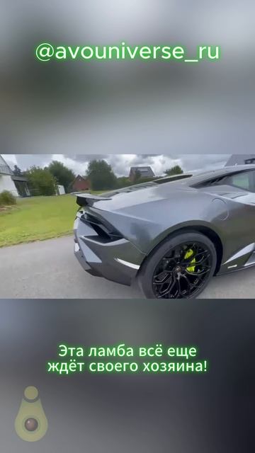 Эта ламба всё ещё ждёт своего хозяина!