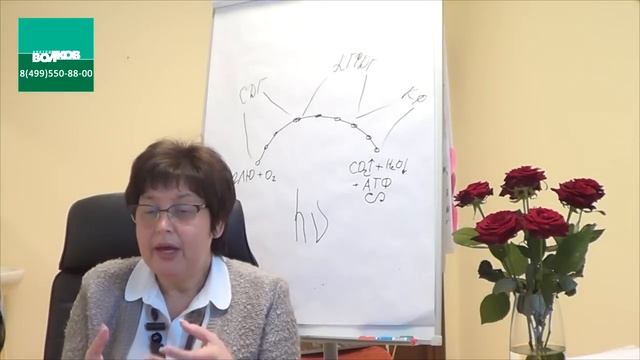 Вебинар 2. Депрессия, утомляемость, синдром хронической усталости, нарушения сна