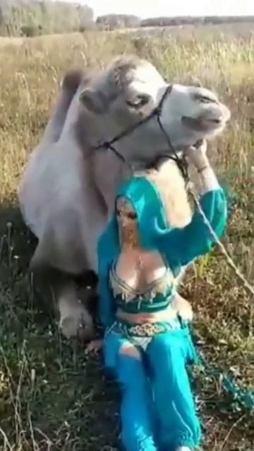 жасмин