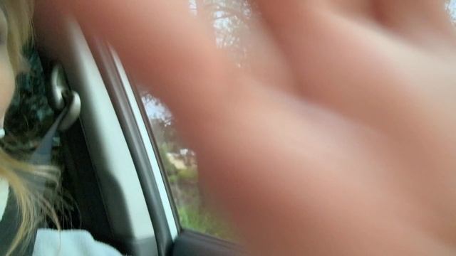 Наш денек. Коптим скумбрию. Съездили на родничок с собаками.