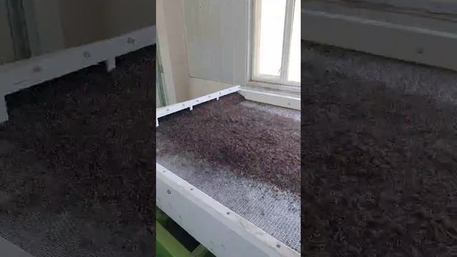 1000002334.mp4