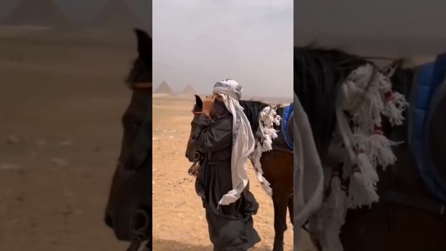 красивая девушка в пустыне