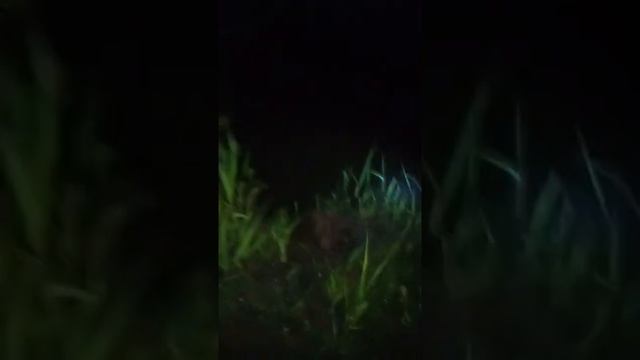 1000007392.mp4