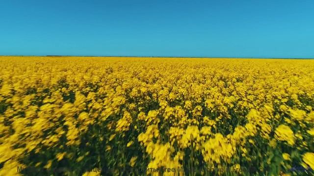 Вы не путешествовали, пока не услышали этот саундтрек! - Chemistry -- Makaih Beats -- Chemistry
