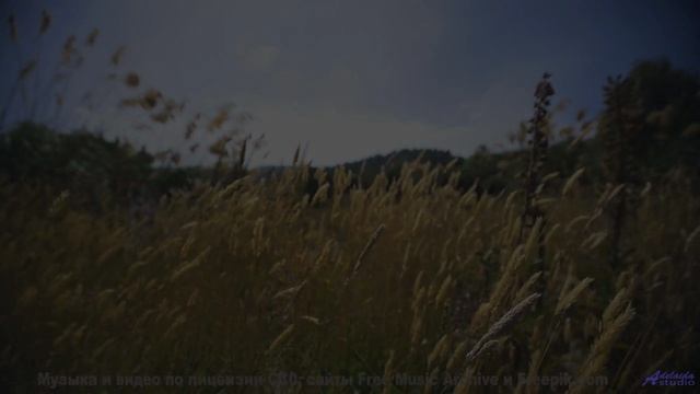Кадры, которые доказывают существование магии - убедитесь сами! - Cest La Vie -- Duncan Reid and the