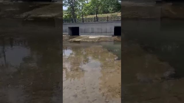 Самая крупная река Крыма полна рыбы #Крым