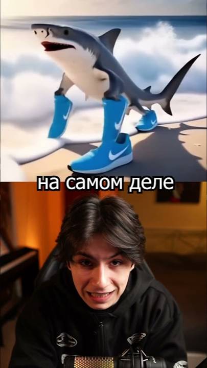 ИТАЛЬЯНСКИЕ ЖИВОТНЫЕ НАС ОБМАНЫВАЛИ 😔💔