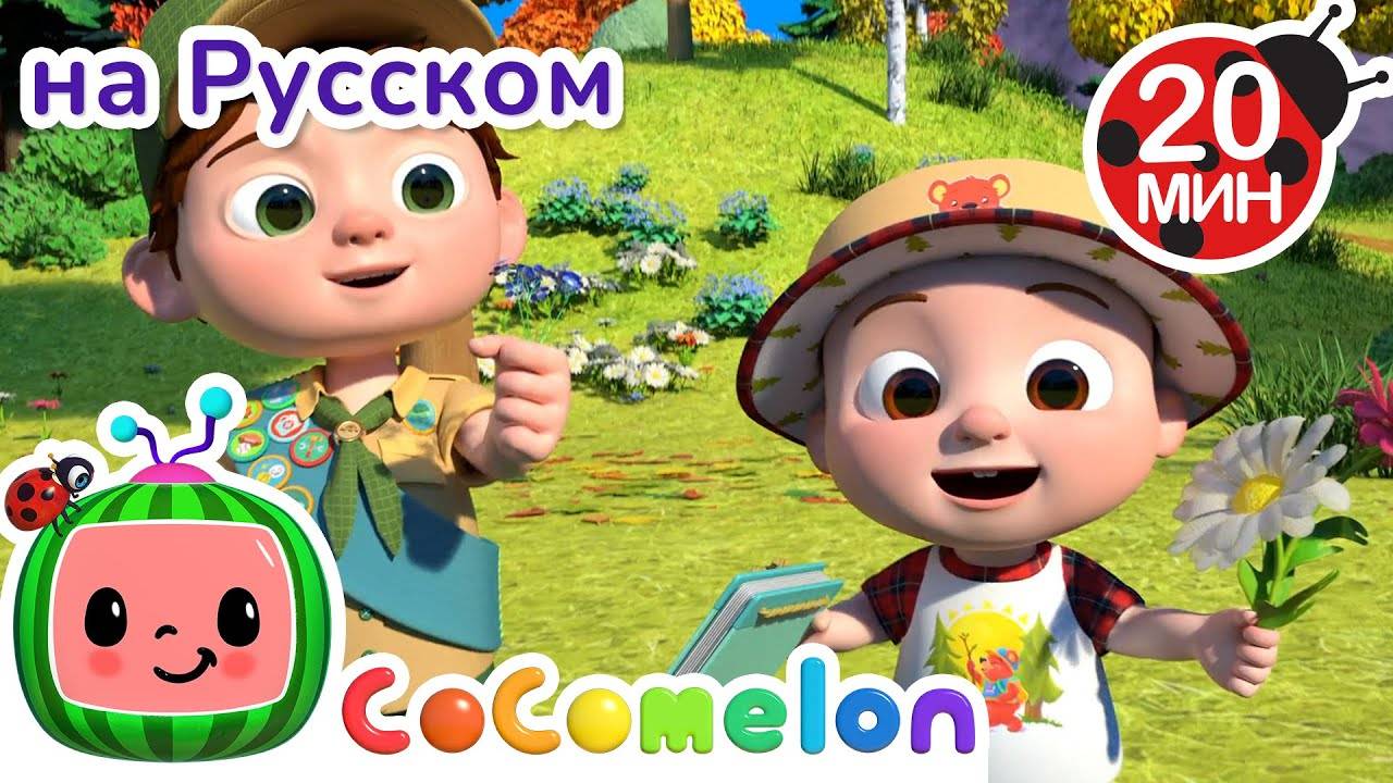 В путь с Джей-Джеем и Бинго — узнаём природу! 🌿🐾｜ CoComelon на русском