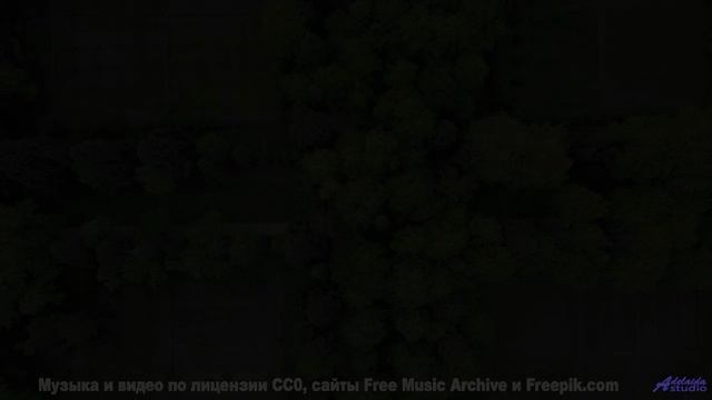 Почему в этом лесу нет птиц - Dark Sky -- Ketsa -- Metaphysics
