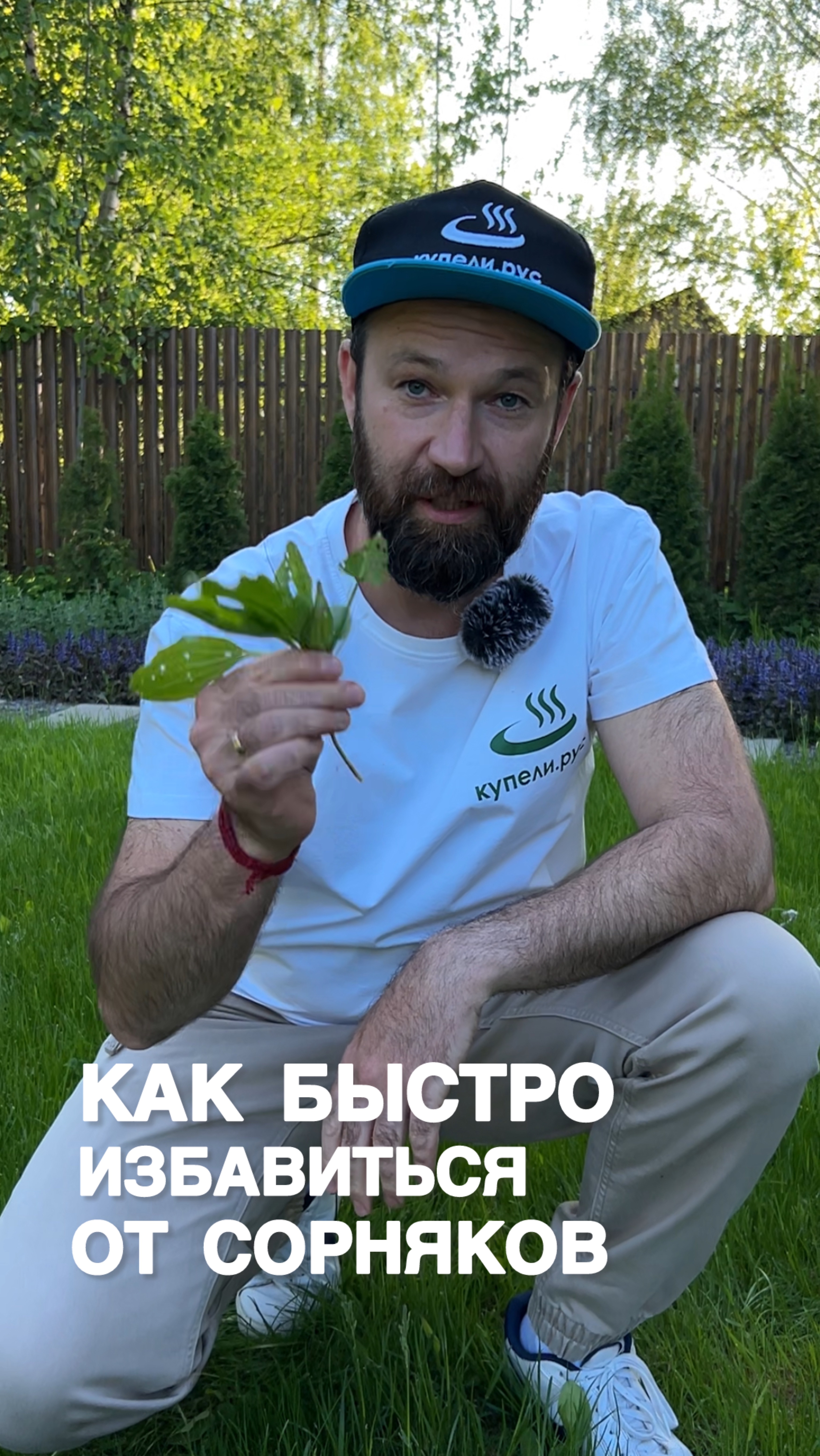 Как БЫСТРО избавиться от сорняков?