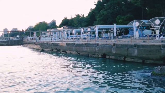 Сочи / санаторий имени М. В. Фрунзе/ Тихий июньский вечер