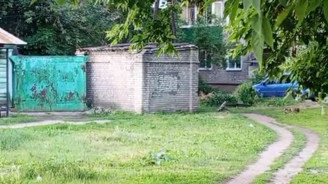 1000008452.mp4