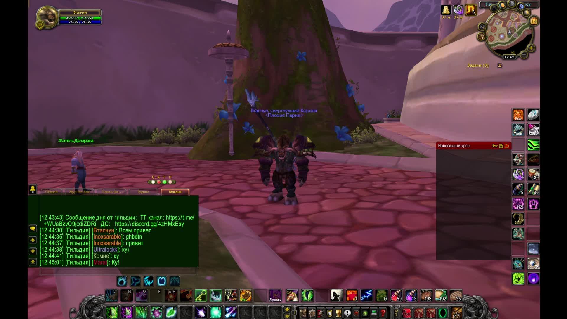 Мишка Circle x1