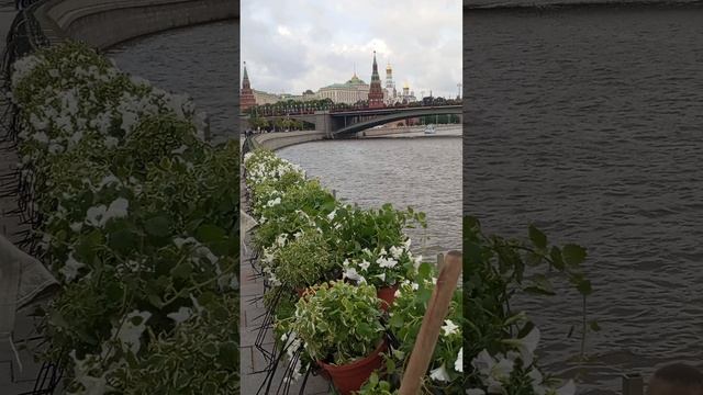 Москва14-06-2025