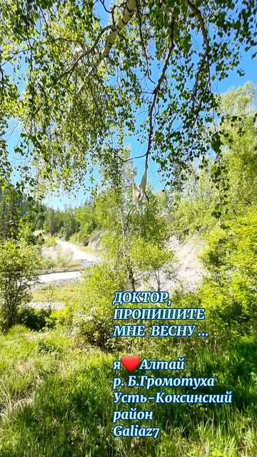 Алтай река Б.Громотуха