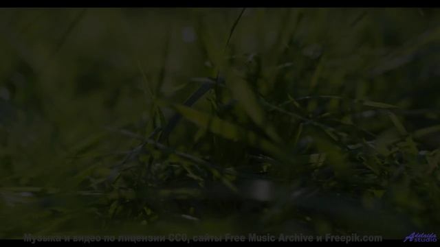Что поёт этот водопад - Dont (Please) Come Around Here -- Eyelids -- Live at Monty Hall, 11152017