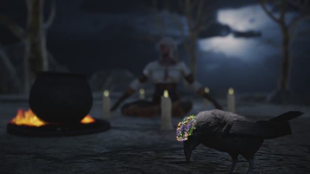 The witch from The Witcher