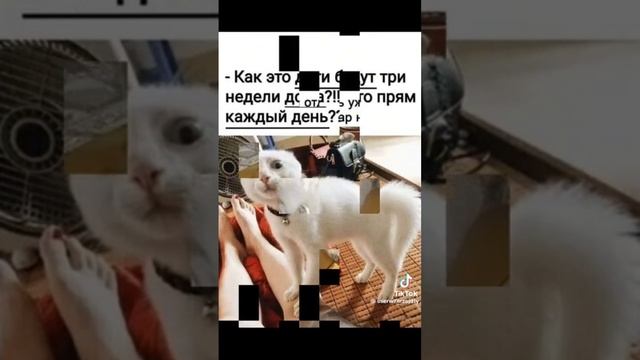 1000010203.mp4