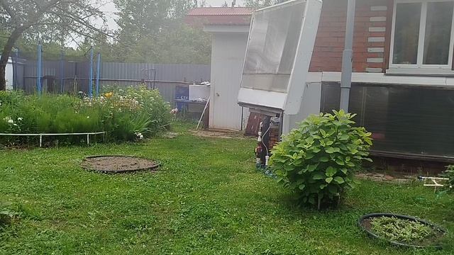 Трясогуски