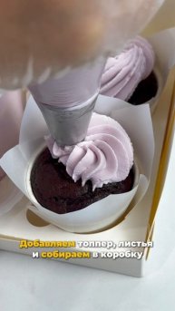 Научитесь собирать наборы с бенто и капкейками на курсе «Я — кондитер»!