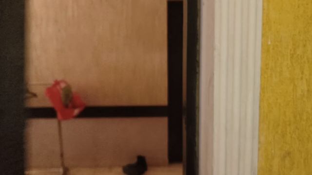 1000151550.mp4