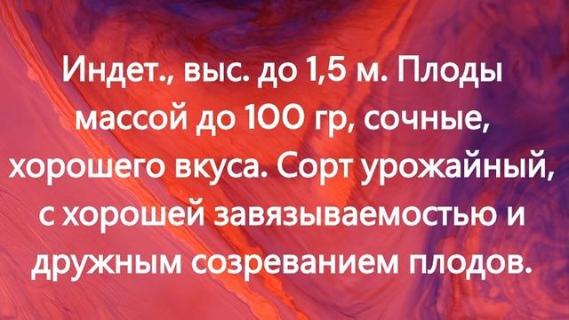 Раннеспелые сорта томатов. г. Киров
