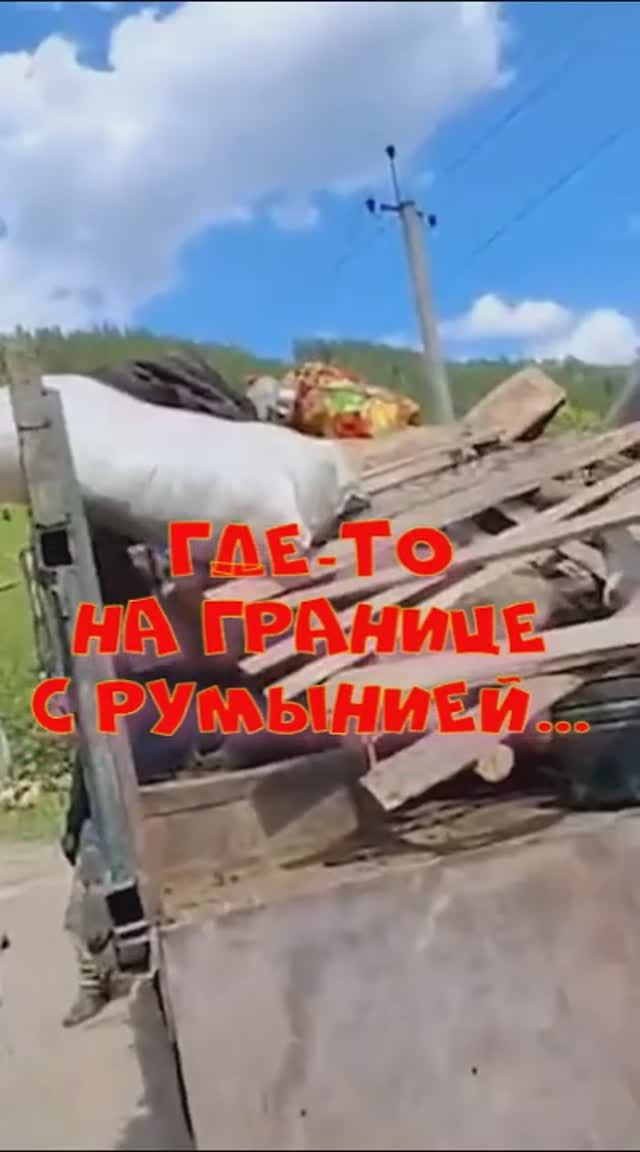 Ухилянты среди козлов и свиней.