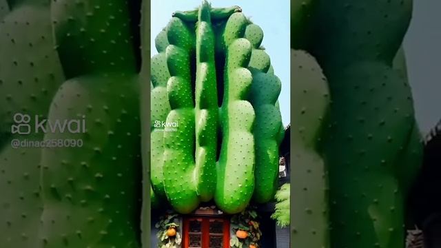 VID-20250613-WA0900