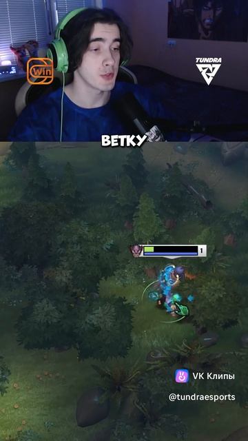 Ветка Дота 2