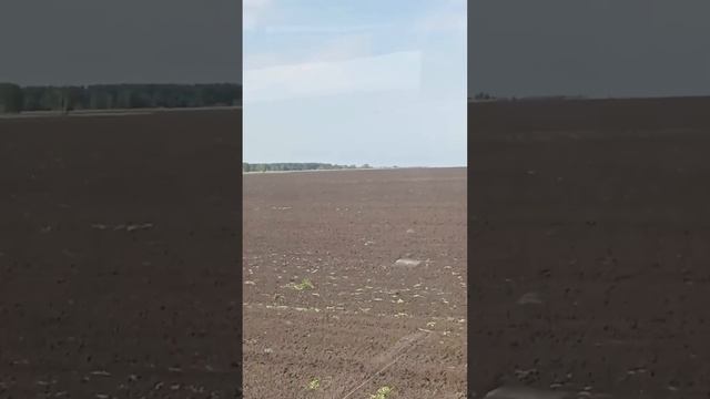 Приехал на границу с Казахстаном! #farming #казахстан #колхоз #граница #работа #мтз #мтз82