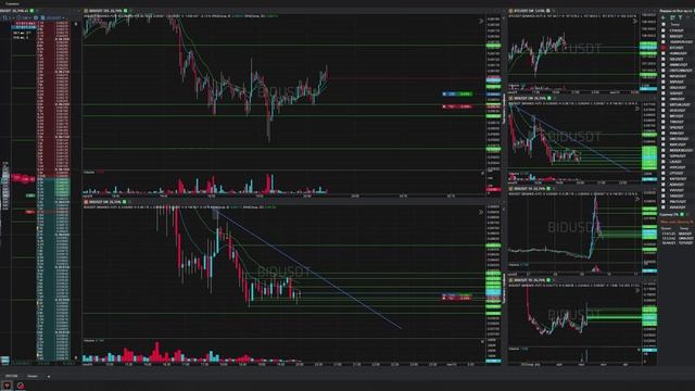 63-Bidusdt-Long-Profit-09-06-2025-19-59-05