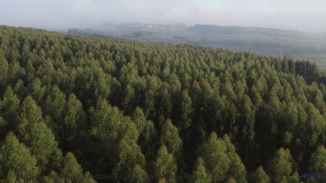 Леса качаются, как море, под такую мелодию - I-Triumphant -- Shaolin Dub -- Macro Micro