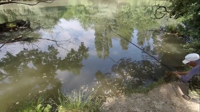 Рыбалка , Старая Кубань, тиляпия. Солнечный остров. 19 мая 2019г.