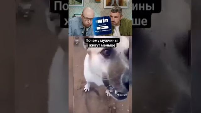 Нельзя смеяться _ Смех с водой _ 65 #shorts