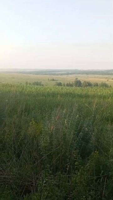 где - то летит