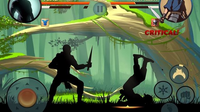 Летний Бой в Shadow Fight 2 № 194