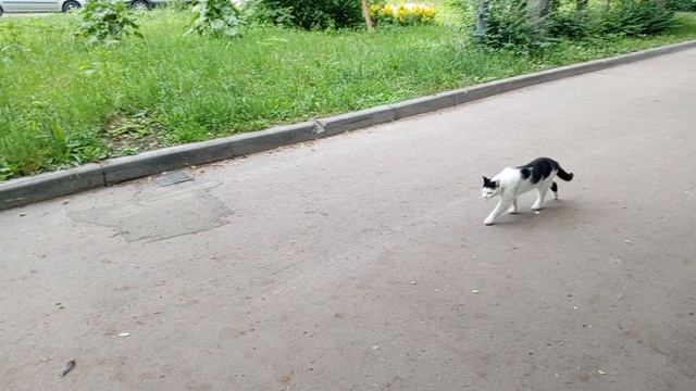 1000008475.mp4