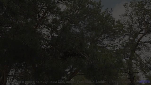 Это видео ВЫЗОВЕТ у тебя мурашки! - Crazy -- Derek Clegg -- Stop the Line (10th anniversary remaster