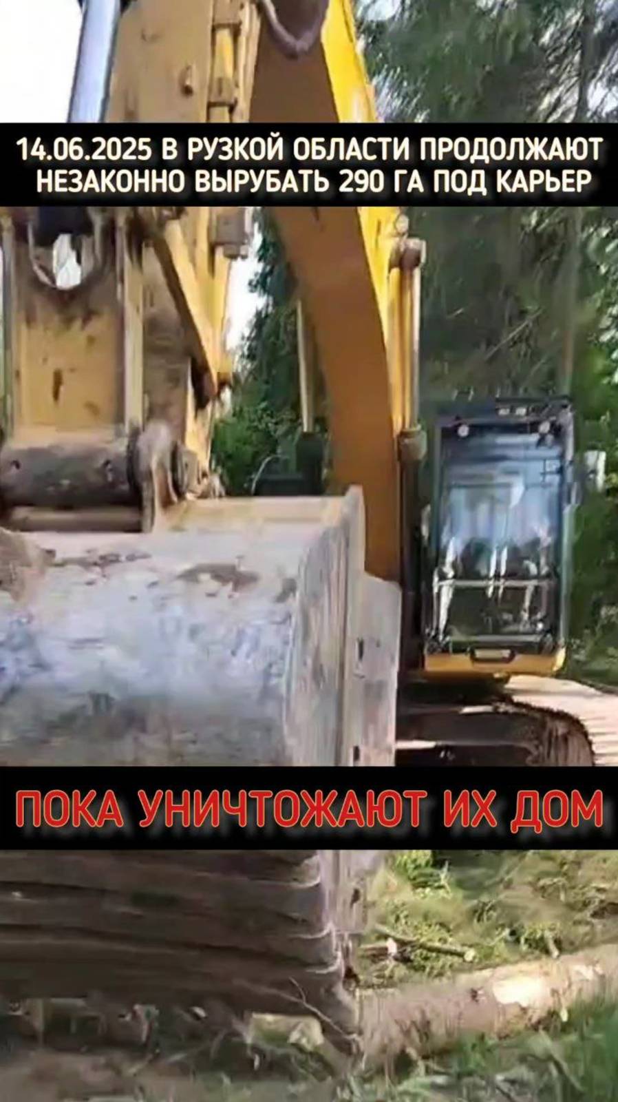 14.06.2025 бегство животных на участки к людям от вырубки леса в Рузском округе