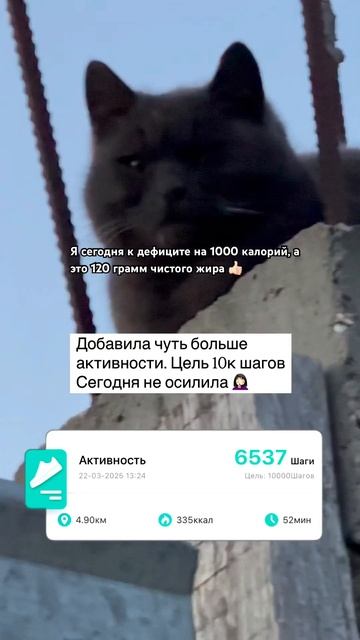 #велгия #ходьба #оземпик #яхудею #иг