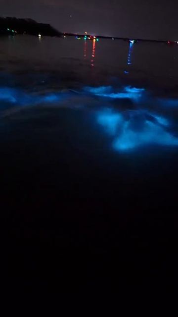 Плавание в воде с биолюминесцентными водорослями