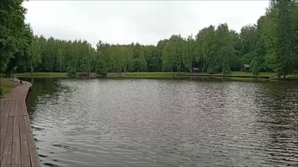 Обзор с Нижнего пруда. Клёвое место Лосиный остров.